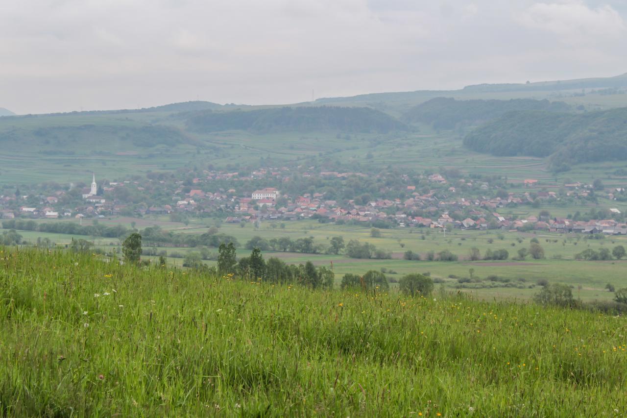 Mano Kulcsoshazak Villa Praid Bagian luar foto